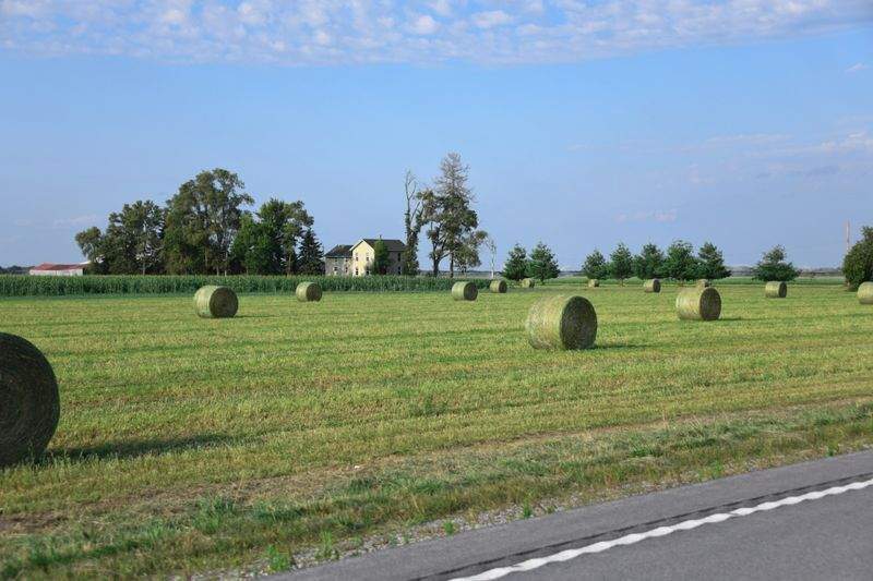田園の夢株式会社 - Image 11