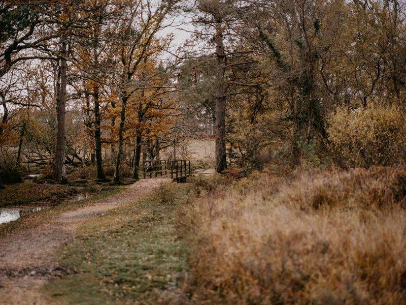 田園の夢株式会社 - Image 8